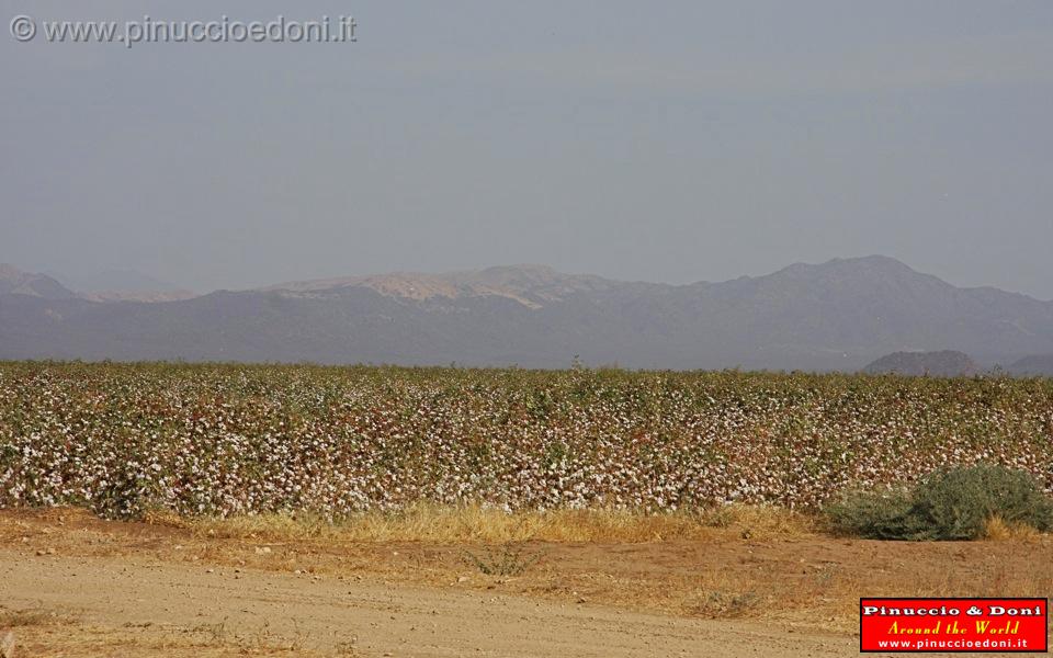 Ethiopia - 867.jpg